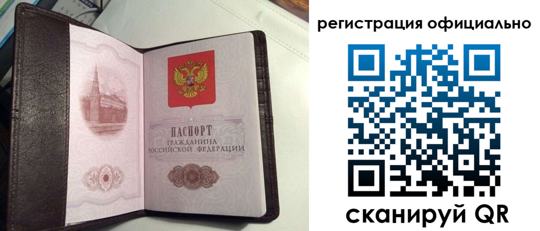 прописка ребенка в Лосино-Петровском