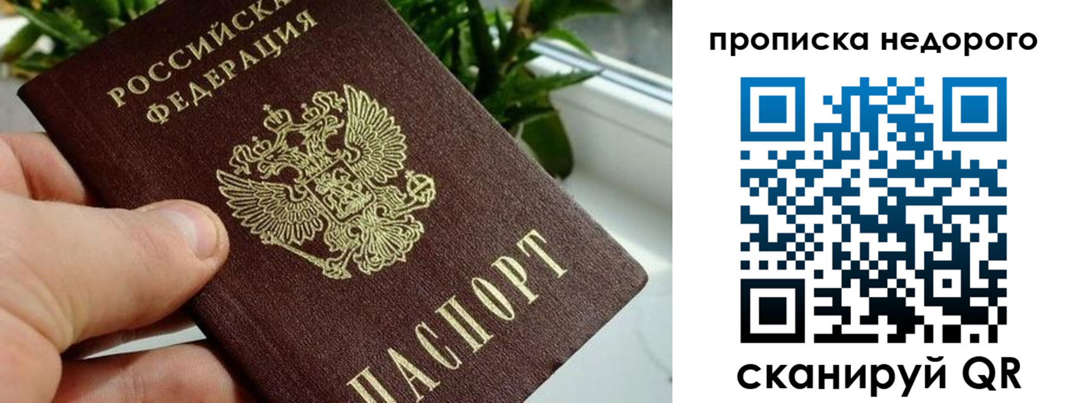 прописка для кредита в Лосино-Петровском