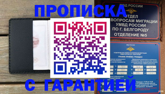 временная регистрация для всех в Лосино-Петровском